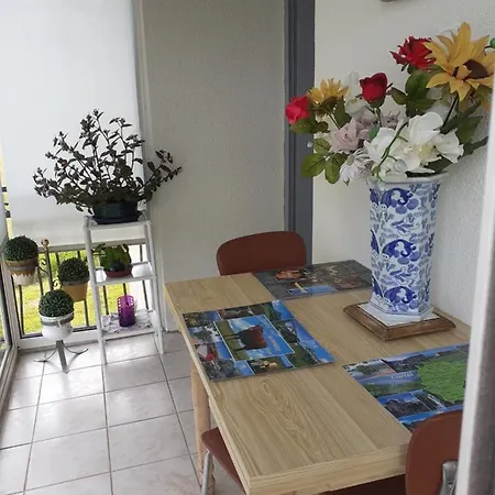 Maison De La Deveze Holiday home *